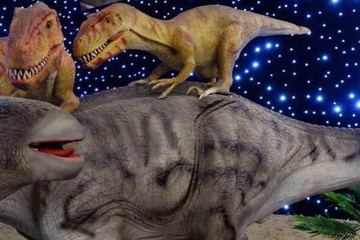 Add Image Description