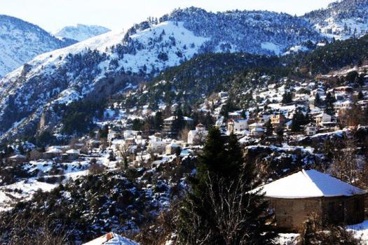 Add Image Description