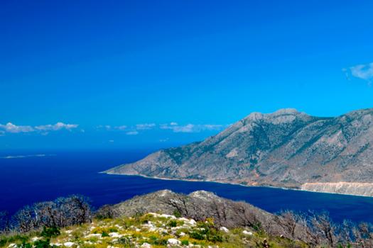 Add Image Description