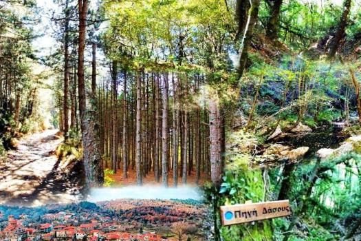 Add Image Description