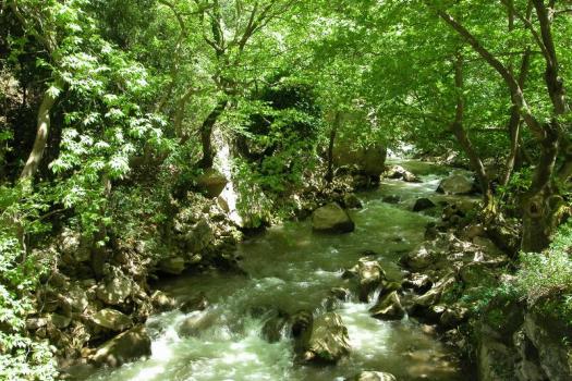 Add Image Description