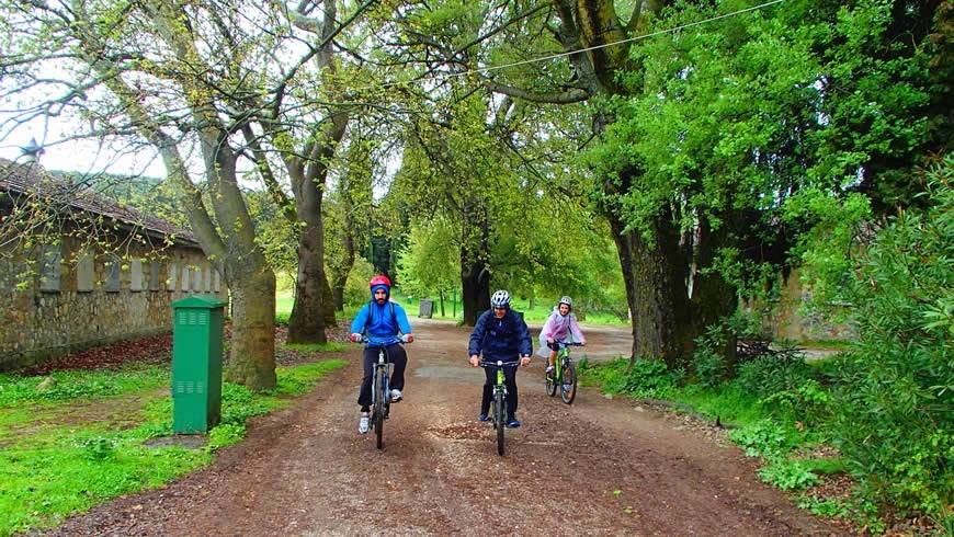 ΠΟΔΗΛΑΣΙΑ 20/12/2015
