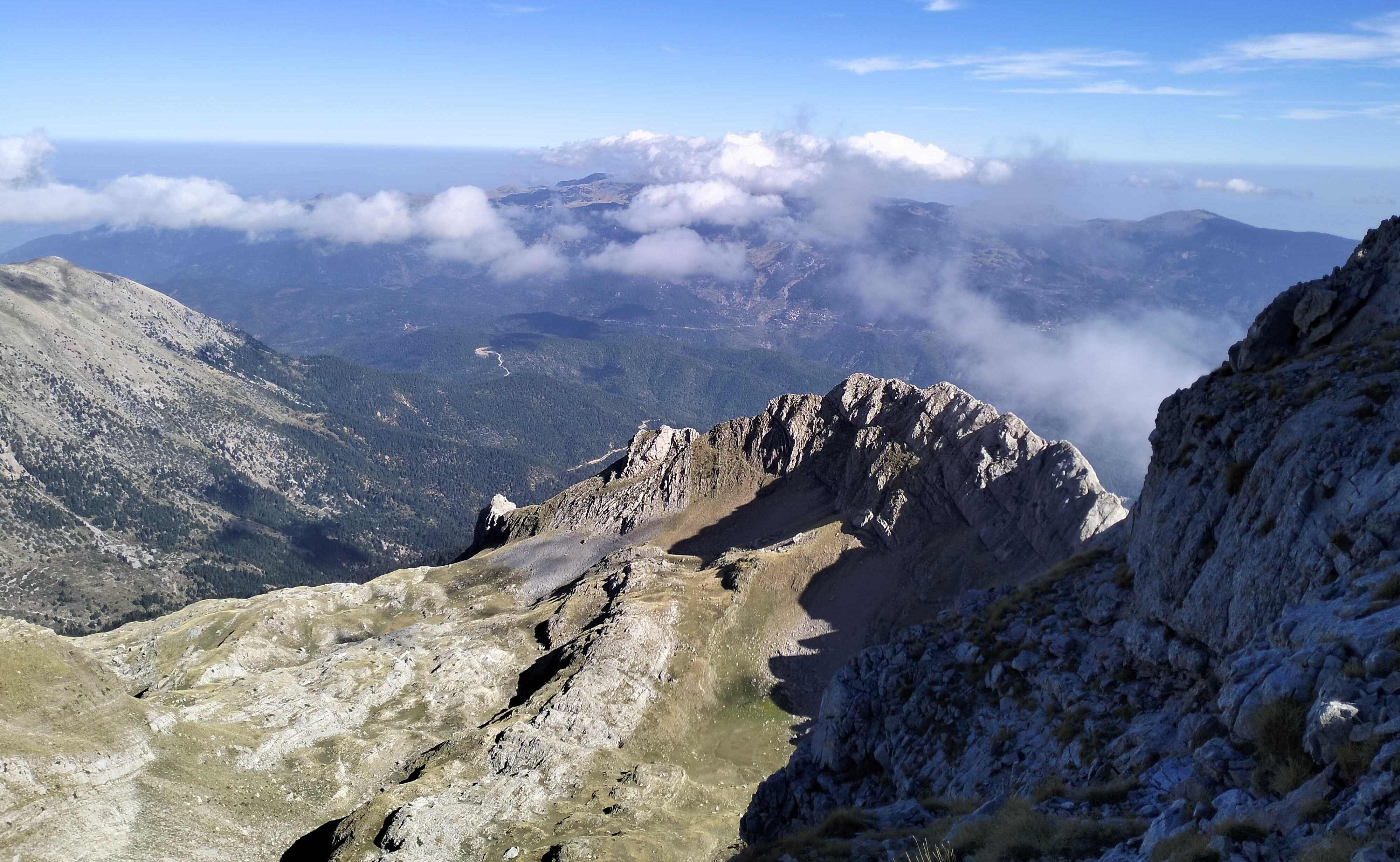 ΚΙΝΗΜΑΤΟΓΡΑΦΙΚΗ ΠΡΟΒΟΛΗ, ΠΕΜΠΤΗ 4/12/2014