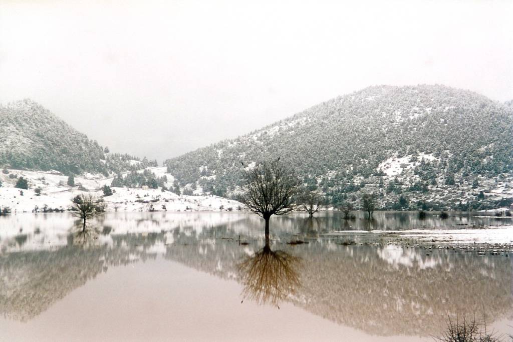 ΕΛΙΚΩΝΑΣ 31/1/2015