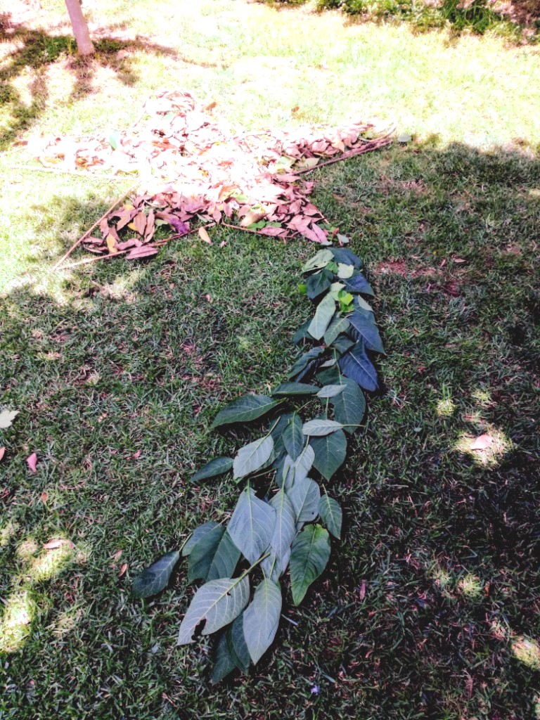 ΠΑΙΔΙΚΟ ΤΜΗΜΑ