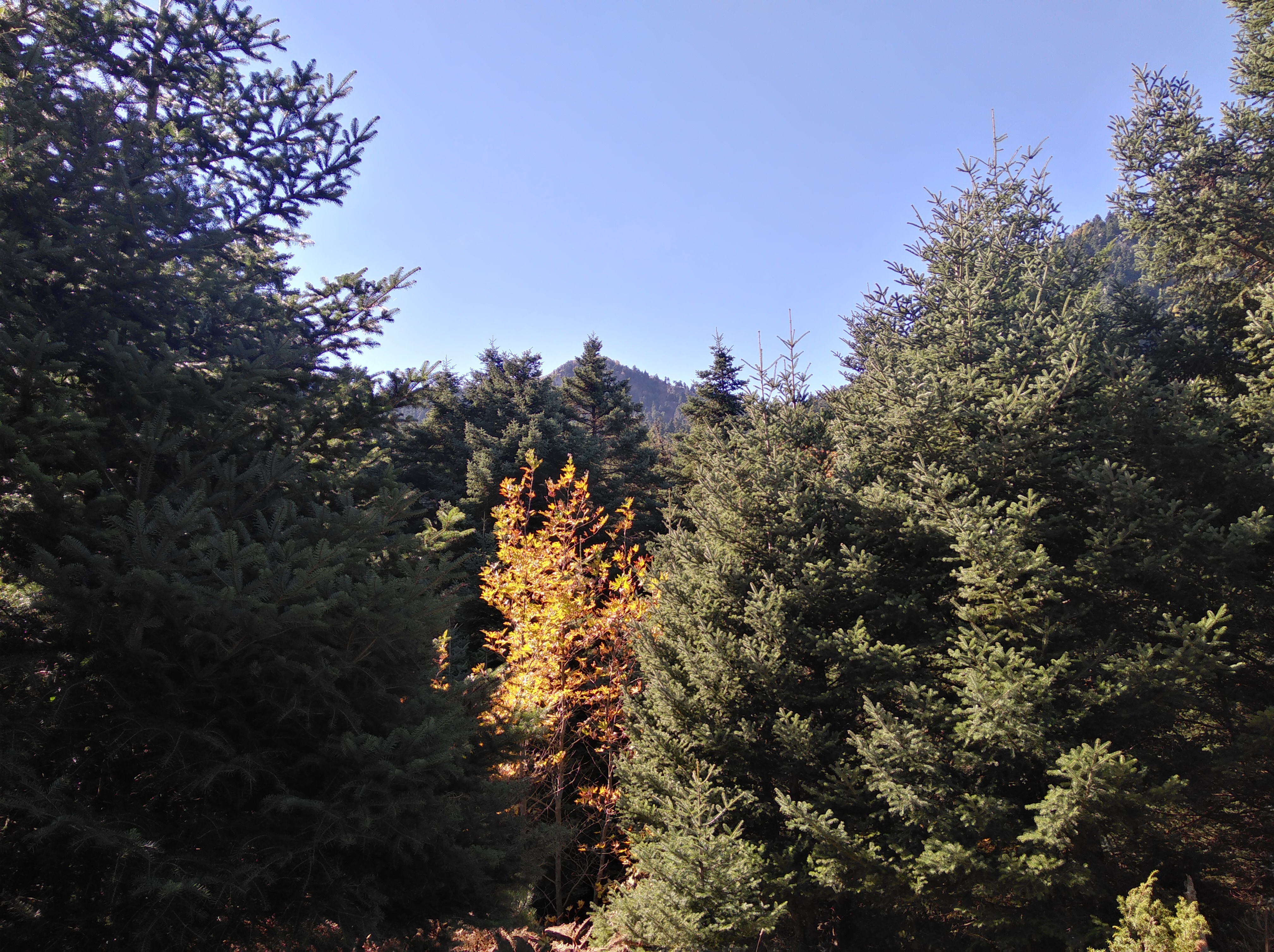 Καλλίδρομο 16/2 (η εκδρομή δε θα πραγματοποιθεί)