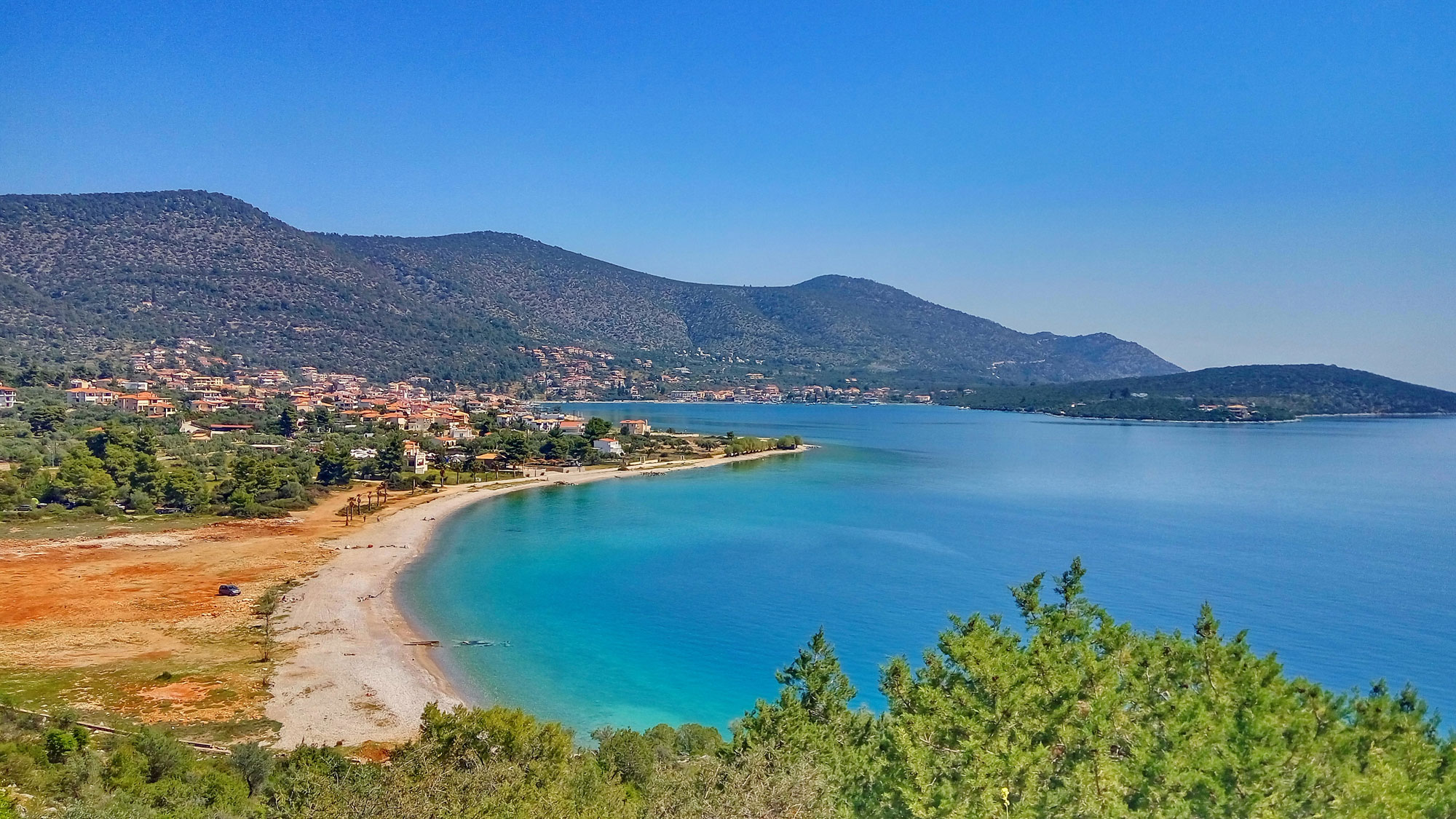 ΣΟΦΙΚΟ - ΚΟΡΦΟΣ