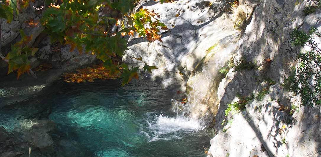 ΦΑΡΑΓΓΙ ΑΓΑΛΗΣ 21/1/2024