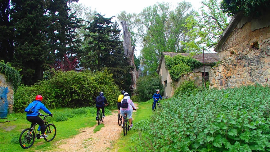 ΠΡΟΓΡΑΜΜΑ ΠΟΔΗΛΑΣΙΑΣ ΙΑΝΟΥΑΡΙΟΥ 2016