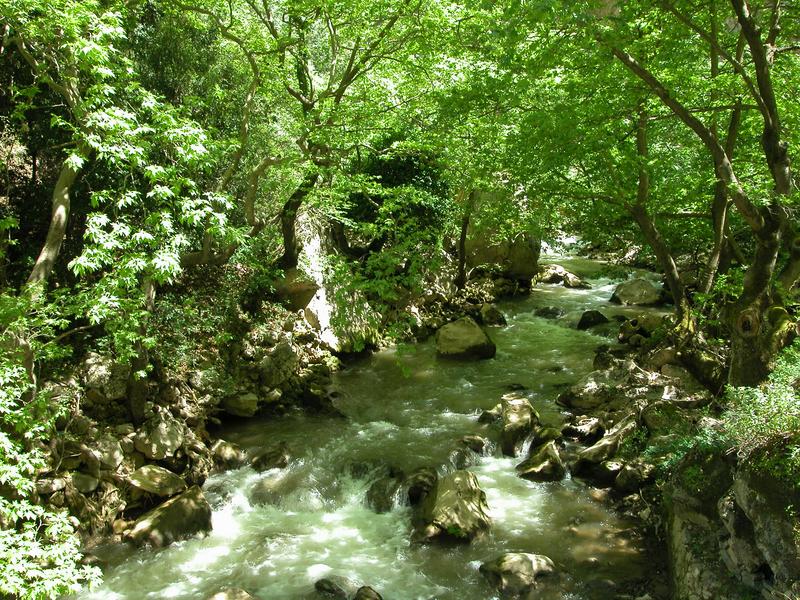 ΦΑΡΑΓΓΙ ΒΟΥΡΑΪΚΟΥ