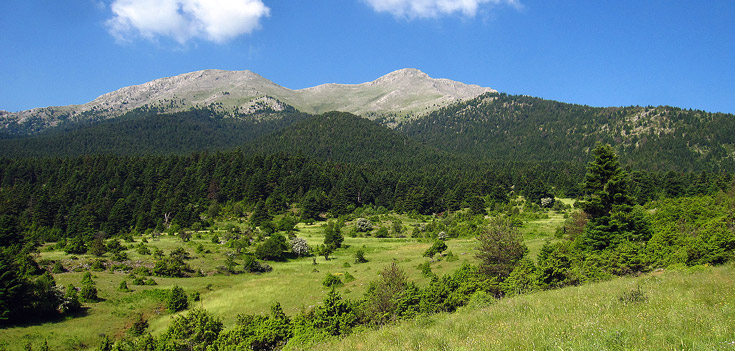 ΦΛΑΜΠΟΥΡΙΤΣΑ