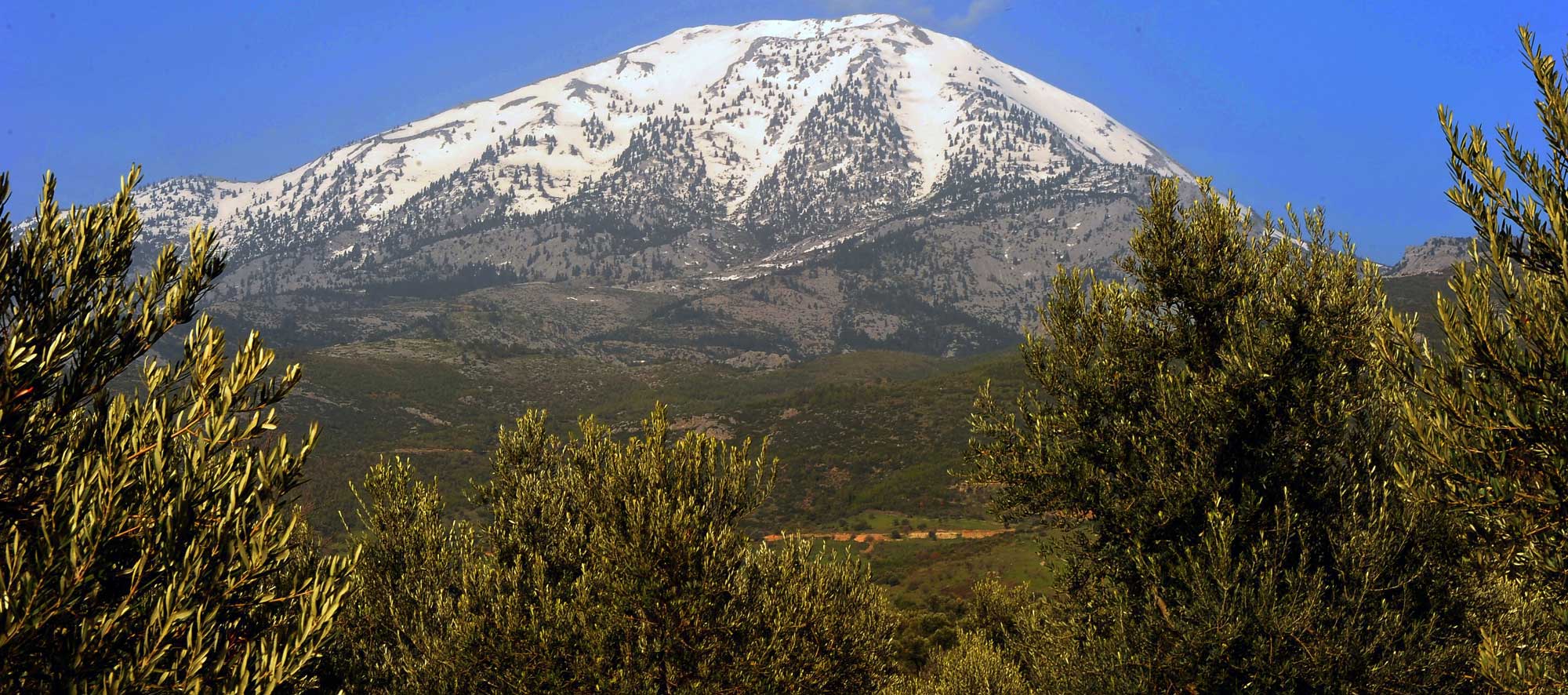 ΟΡΟΣ ΔΙΡΦΗ 24/5/2014